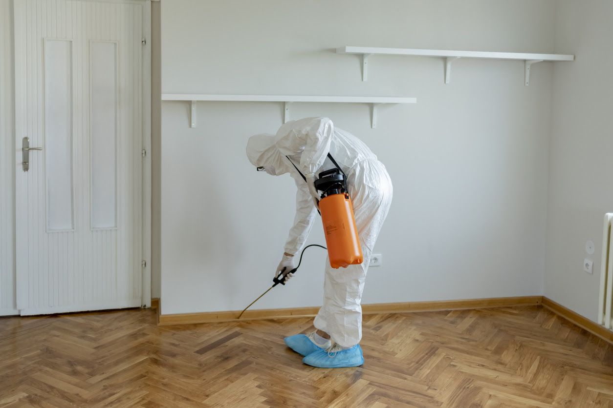 A basement undergoing mold remediation in a Georgia home.